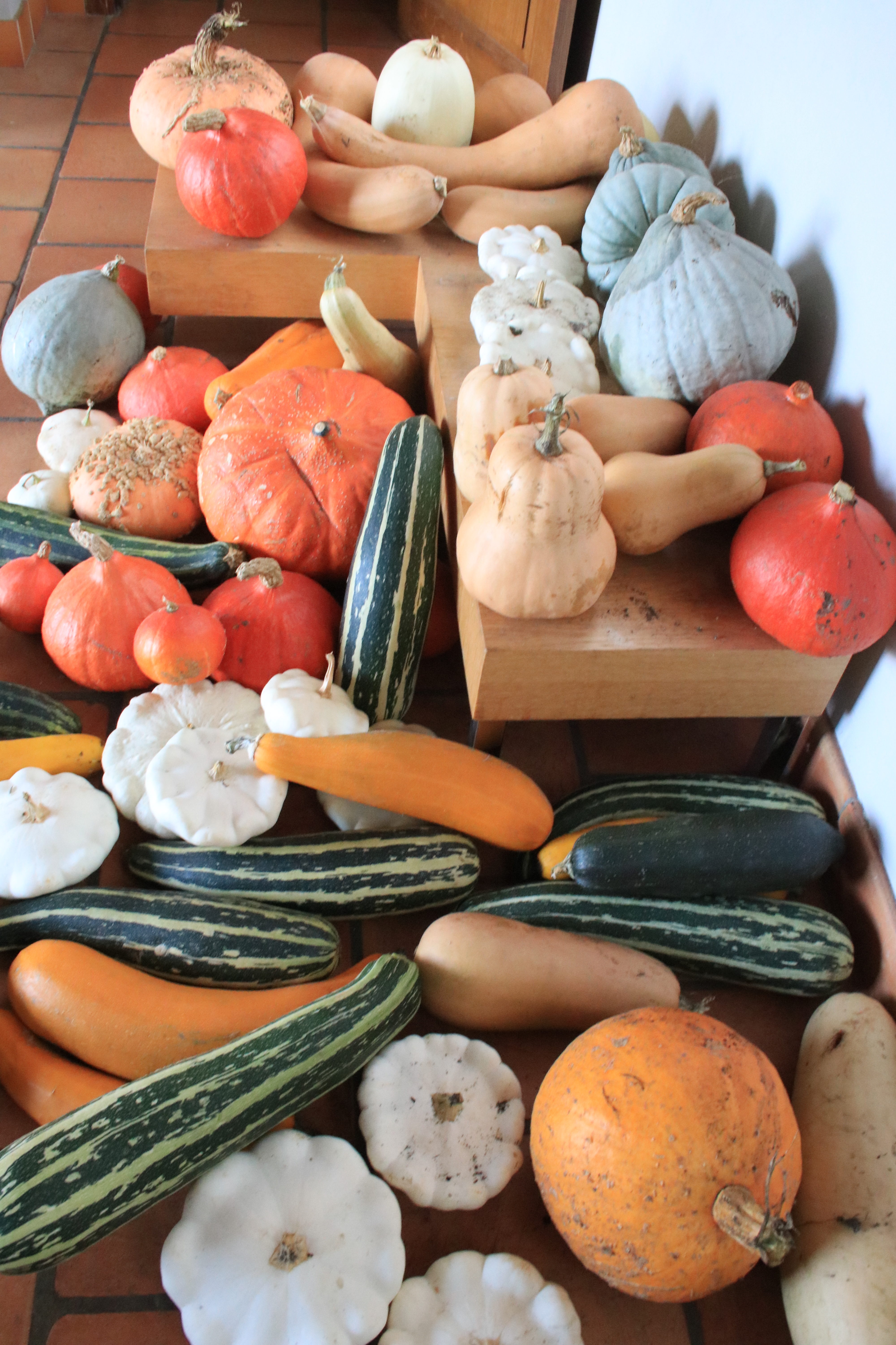 La meilleur soupe de courgettes du monde