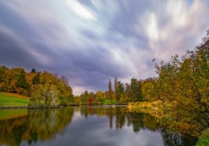 planter un arbre permet de canalyser les eaux