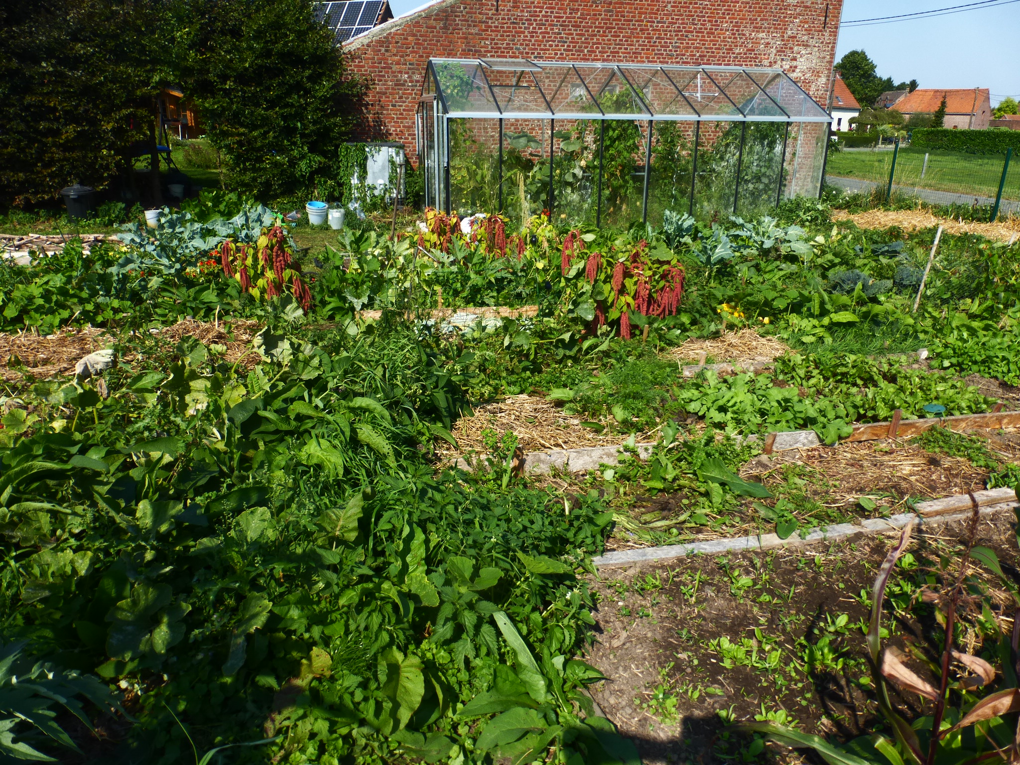 18 mois pour transformer un potager