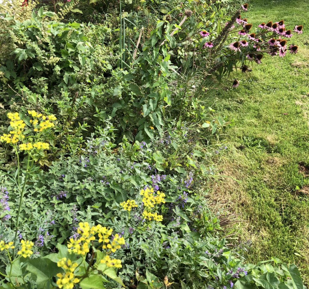 parterre de fleurs pour favoriser la biodiversité 