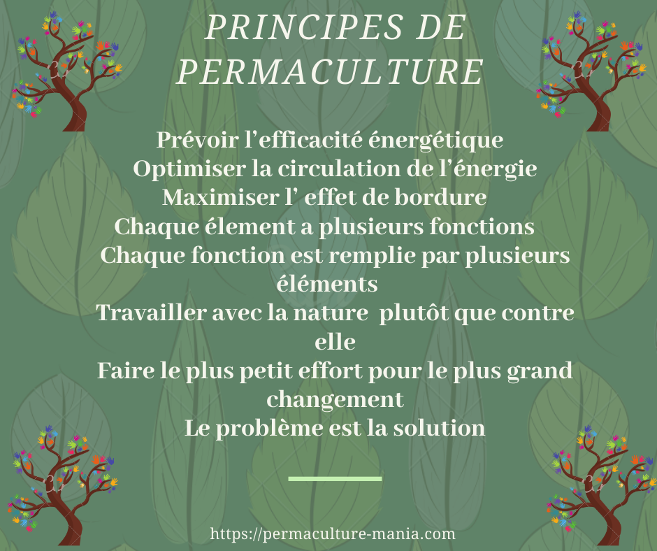 8 principes de permaculture liste 