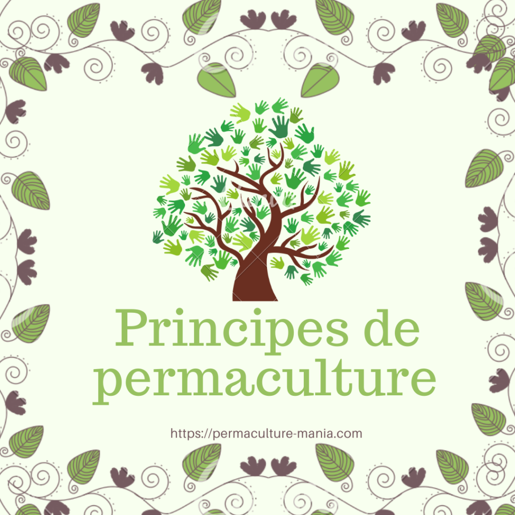 Principes de permaculture 