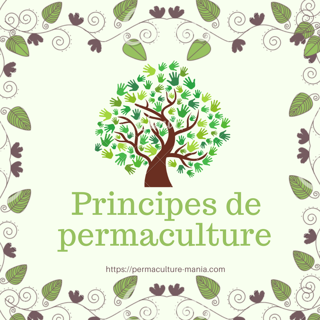 8 principes de permaculture  pour améliorer le jardin