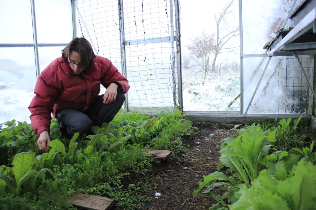 cultiver son jardin en janvier