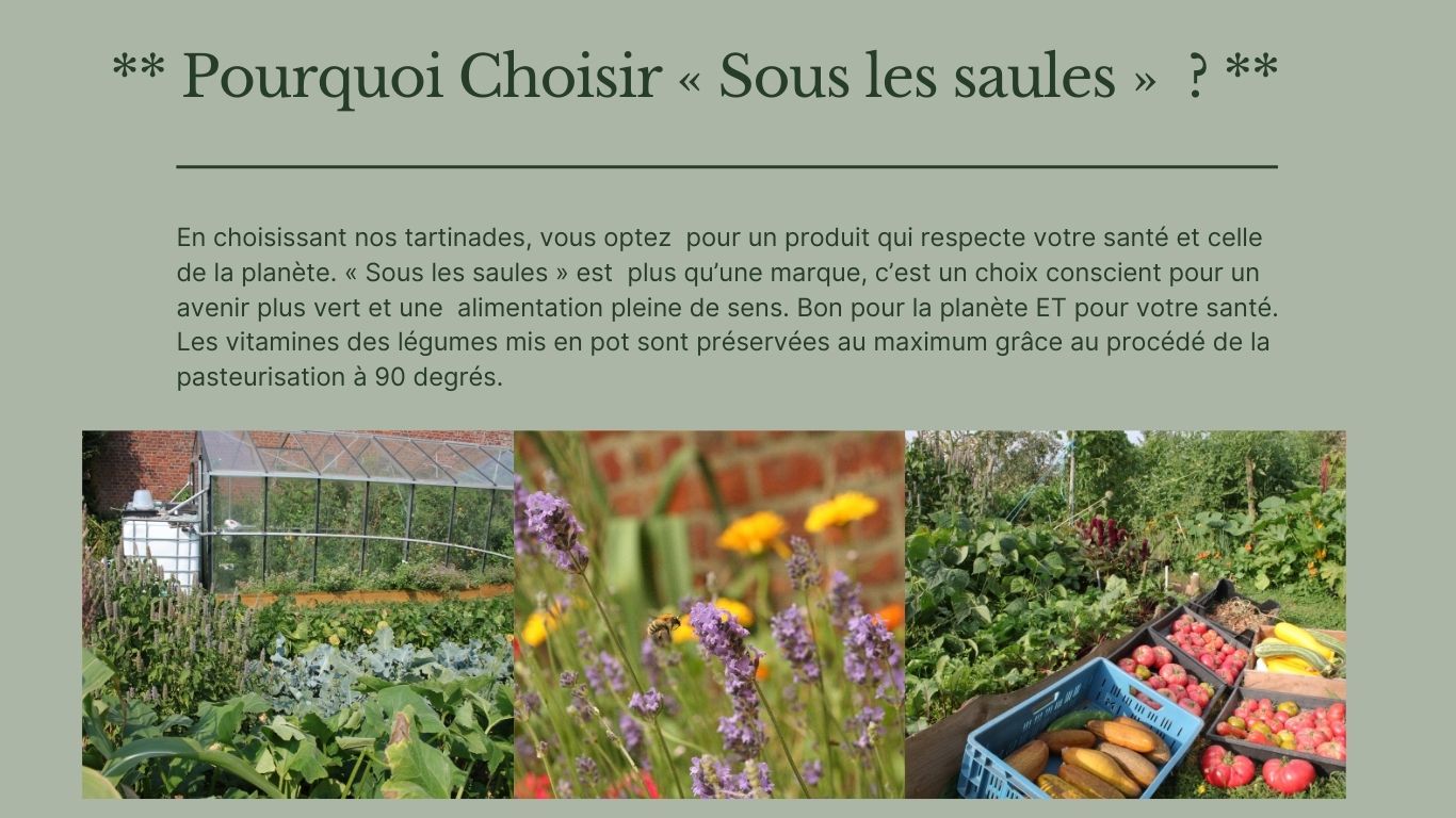 tartinades de légumes sous les saules pourquoi nous choisir ? 
