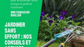 jardiner sans effort : conseils et astuces