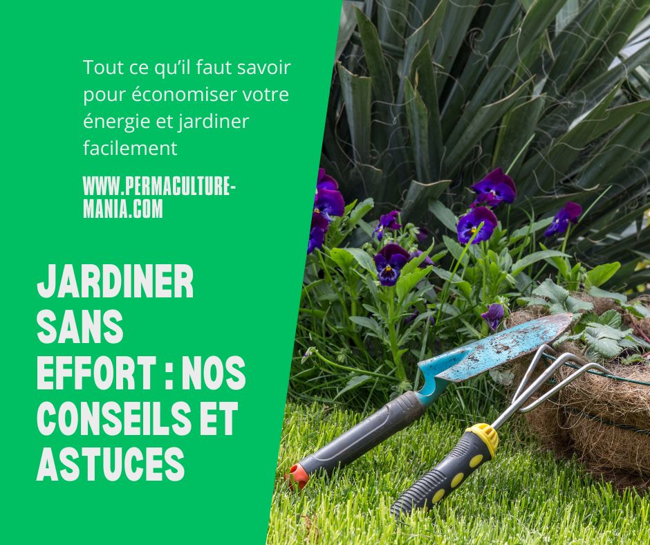 Jardiner sans effort avec ces astuces: permaculture pratique