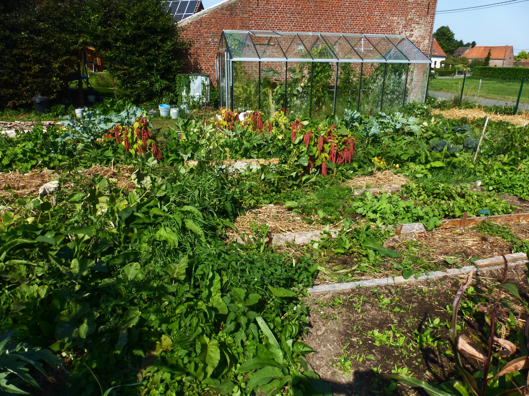 débuter un potager en permaculture : cultiver en été 